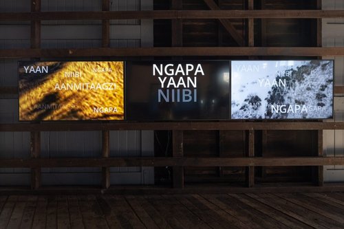 Installation photo of NGAPA YAAN / NIIBI AANMITAAGZI from Pier 2/3 at the Walsh Bay Arts Precinct in Dawes Point, Australia.